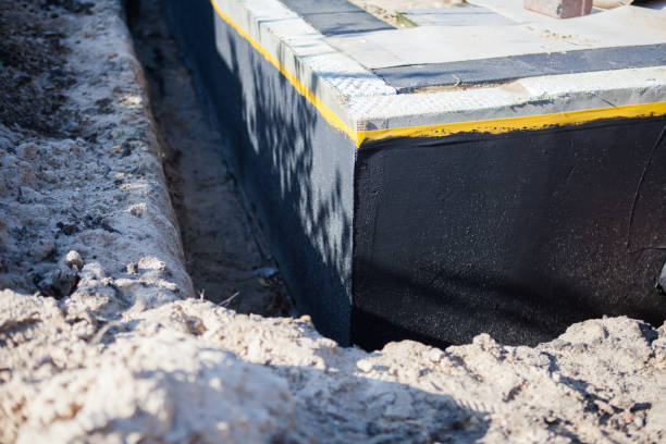 Professional Wet Basement Repair technician working in Rogersville, TN