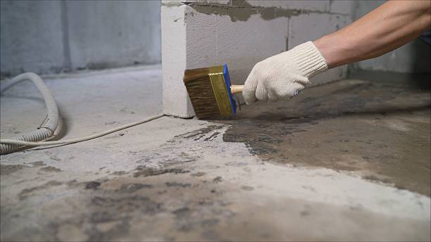 24/7 Emergency Wet Basement Repair experts in Rogersville, TN